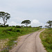 Dusty Road in Ugandan Savannah