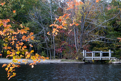 Footbridge in fall