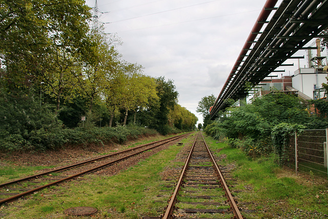 Werksbahn von Venator (Duisburg-Homberg) / 3.10.2022