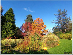 L'automne dans toute sa splendeur.