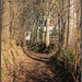 Hohlweg