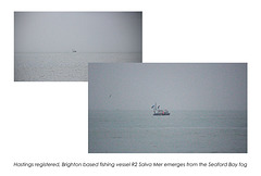 Salva Mea emerges from the fog - Seaford Bay - 6.1.2016