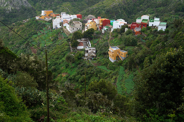 Las Bodegas