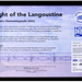 Flight of the Langoustine Hove Plinth the description 5 10 2023