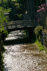 Petit pont en contre-jour