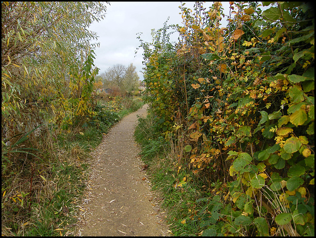 Thames Path at Cripley