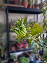 20251122 141327 20251122 141327