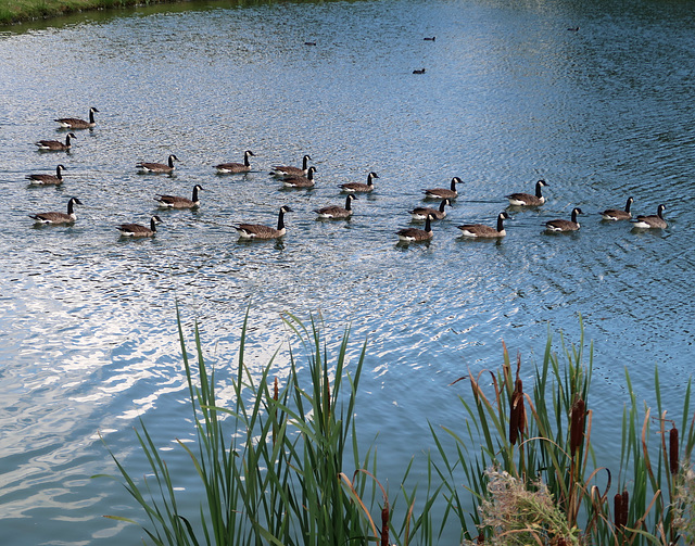 An orderly launch