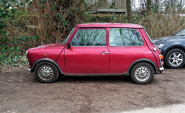 Austin Mini