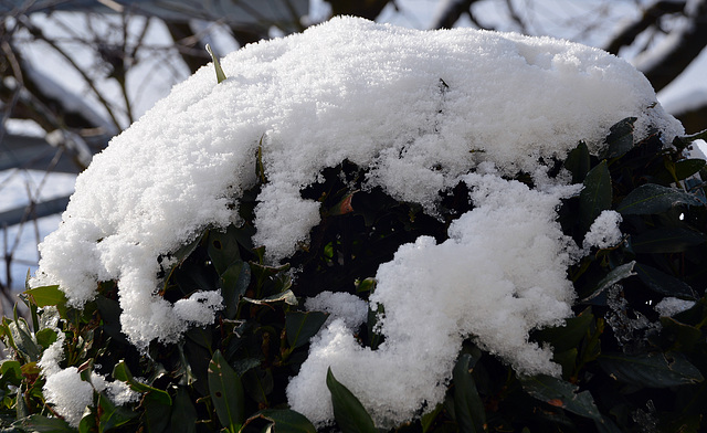 Schneebedeckt