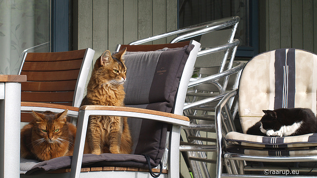 First officer on the bridge