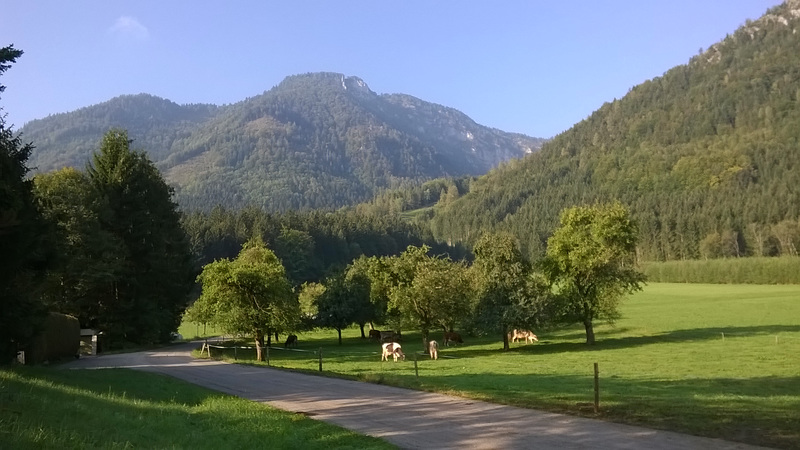 Hauergraben