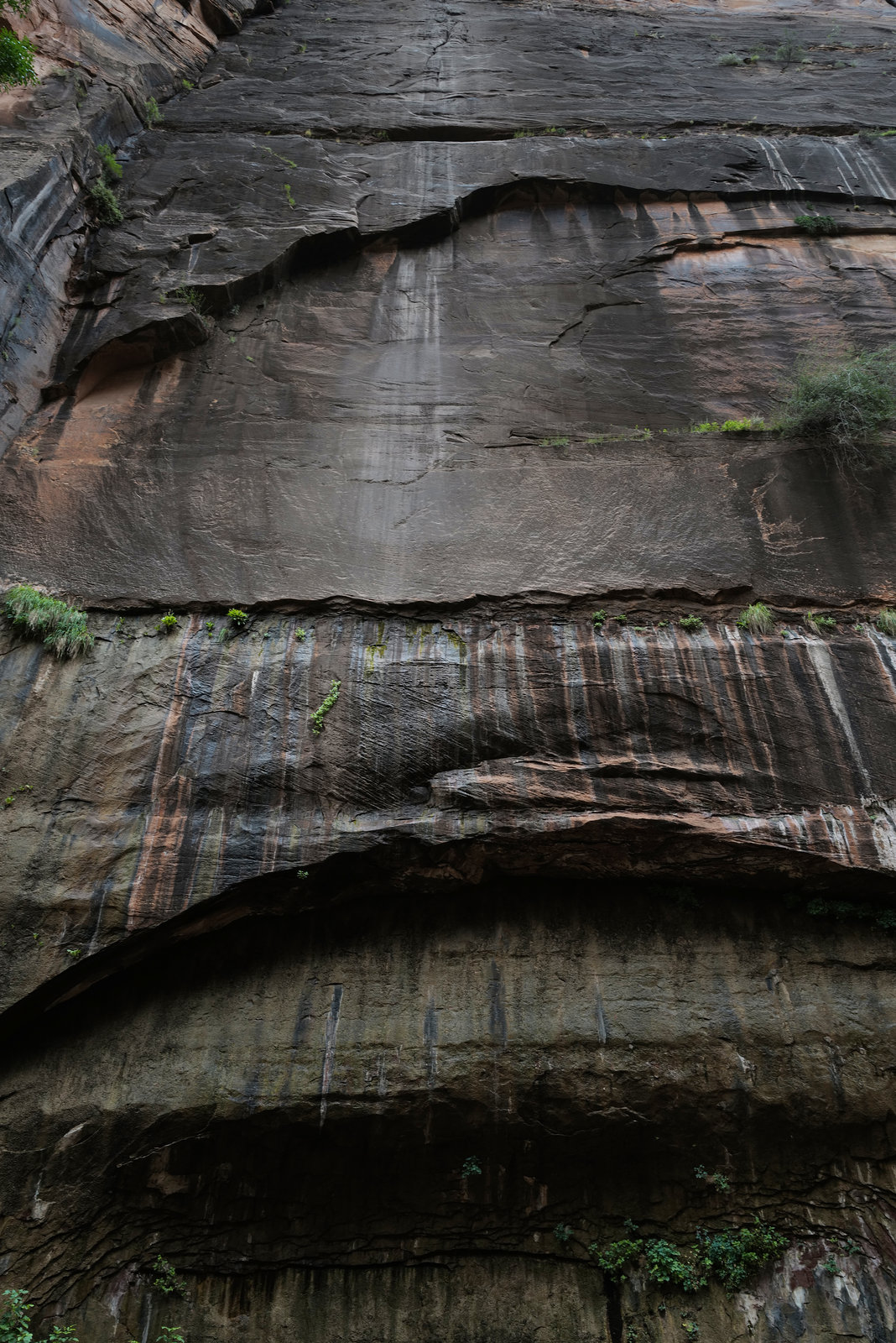 Zion Nat Park, The Narrows L1010651