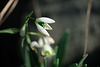 DSCF3162