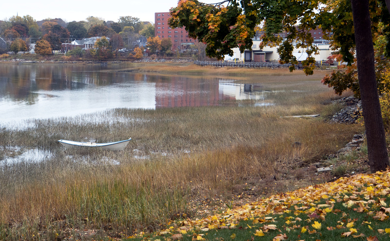 Dory, Mill Cove