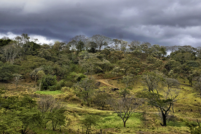 Route 27 – On the Road to San José, Alajuela Province, Costa Rica