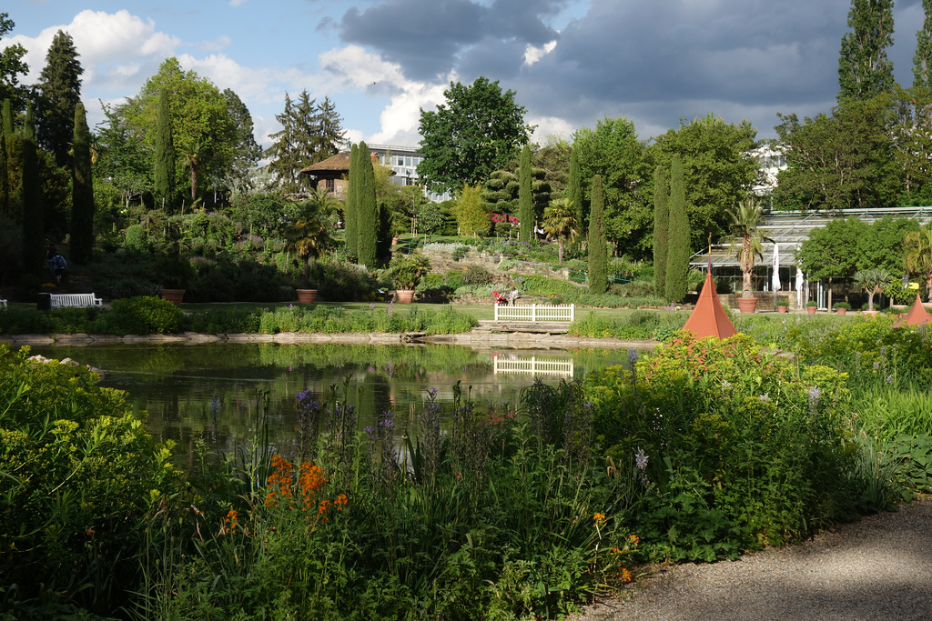 Im Abendlicht - Schüssele See -Blühendes Barock (Park)