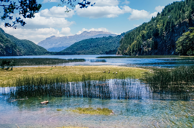 Lago Verde