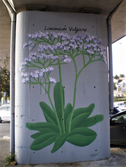 Mural painting - botanical series.