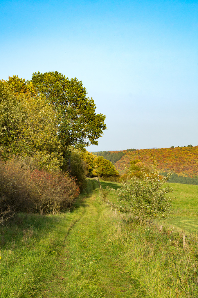 Am Döhmberg