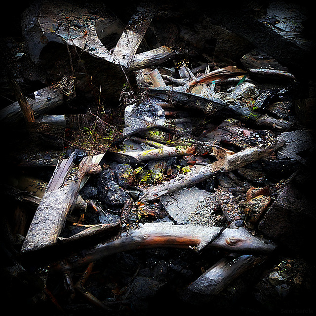 The forces of nature The forces of nature