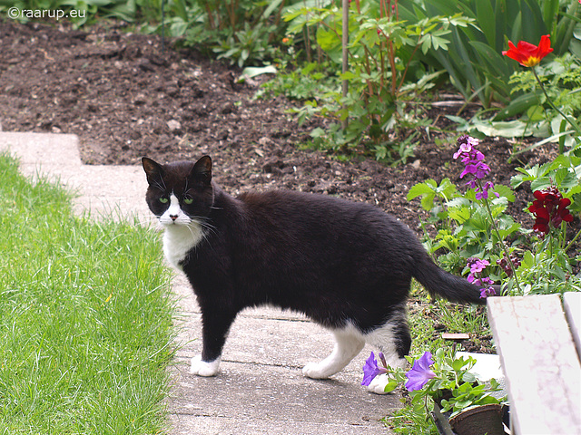 Snow White in her garden