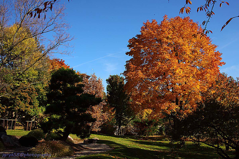 Autumn in Botanical Garden