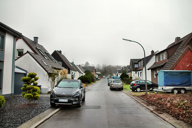 Geschwister-Scholl-Straße (Wattenscheid-Günnigfeld) / 18.12.2021