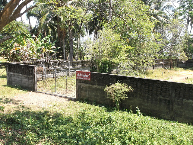 Fence & nature /Nature & clôture (2)