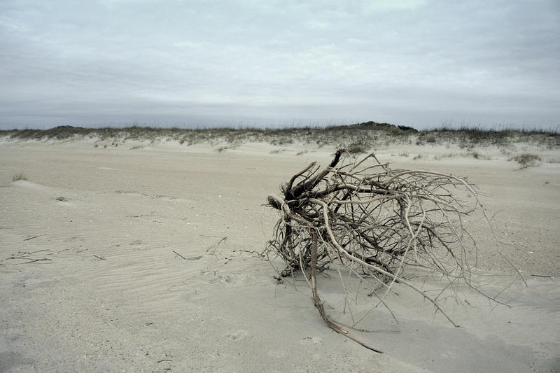 Fort Macon Beach