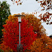 Rote Laterne