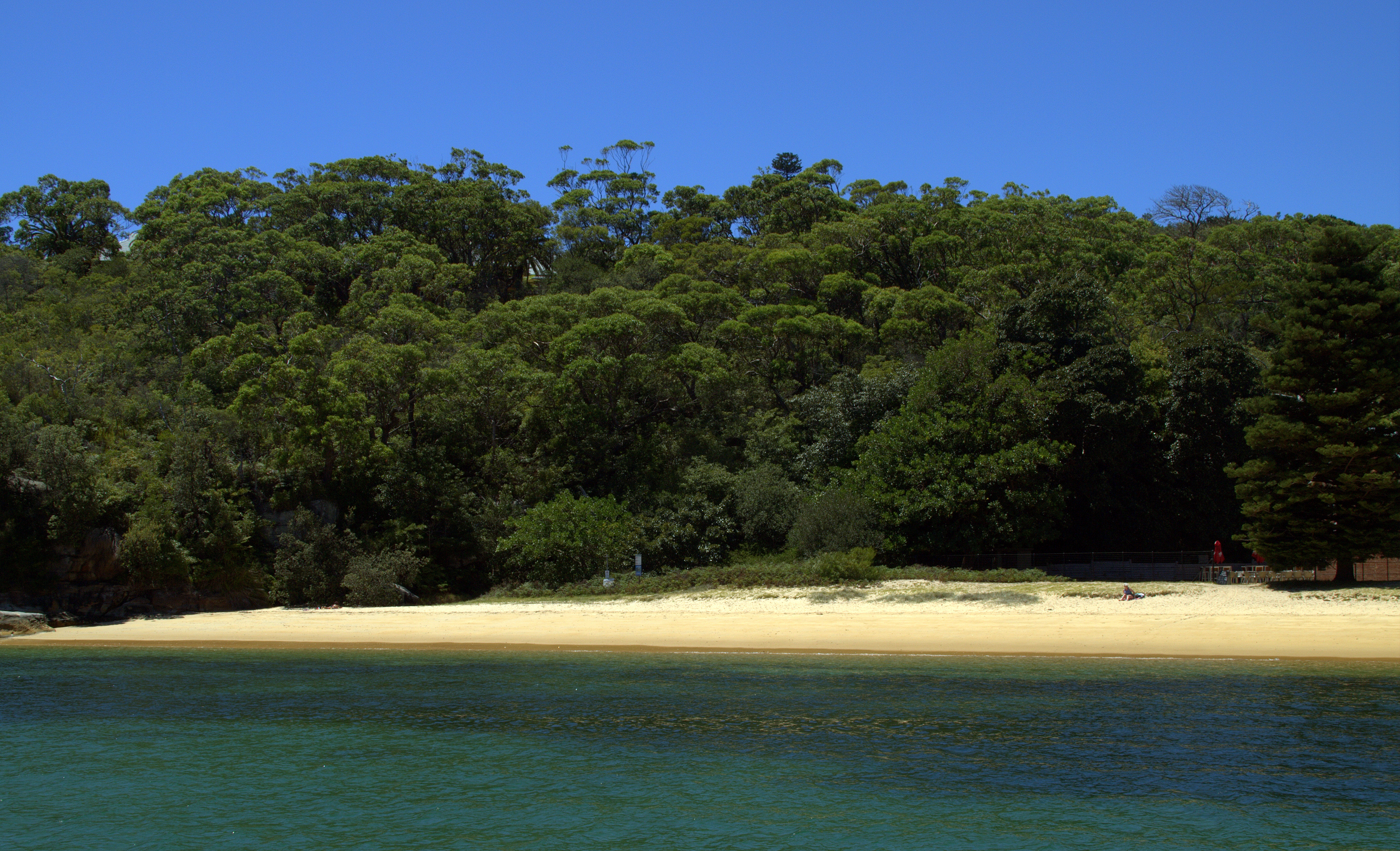 Beach at Manly Quarantine Station