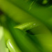 DSCF3753