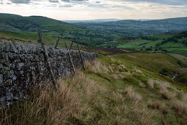 On the Moorland Edge