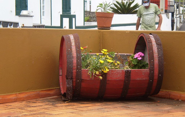 Flowerbed out of barrel.