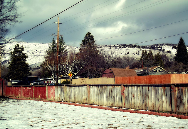 Waiting at the fence