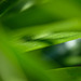 DSCF3756