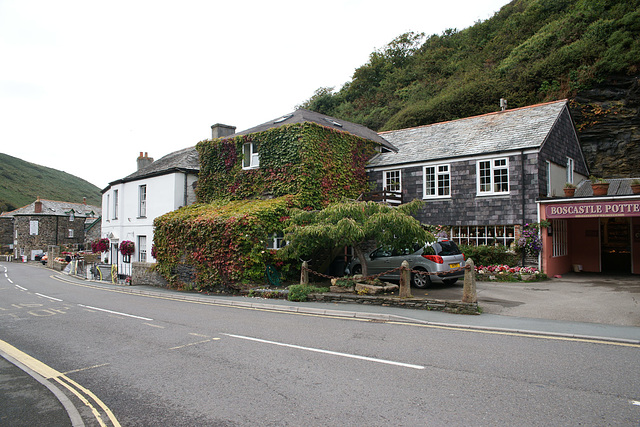 Ivy Covered House In Boscastle