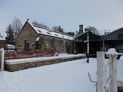 STR - snowy Alston {Jan 2025}