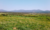 Wanderung rund um Delfia an der Costa Brava.