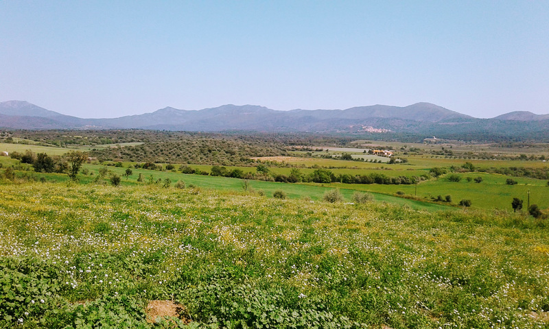 Wanderung rund um Delfia an der Costa Brava.