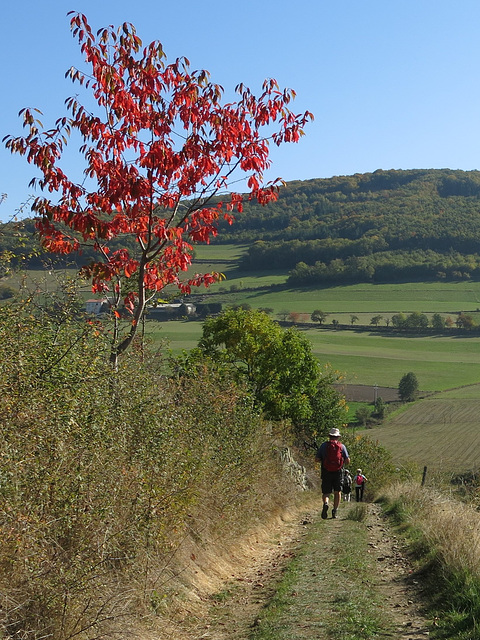 Vers Duerne, Monts du Lyonnais (Rhône)