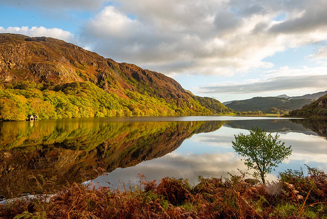 Lyn Dinas reflections