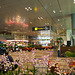 Singapore Changi Airport