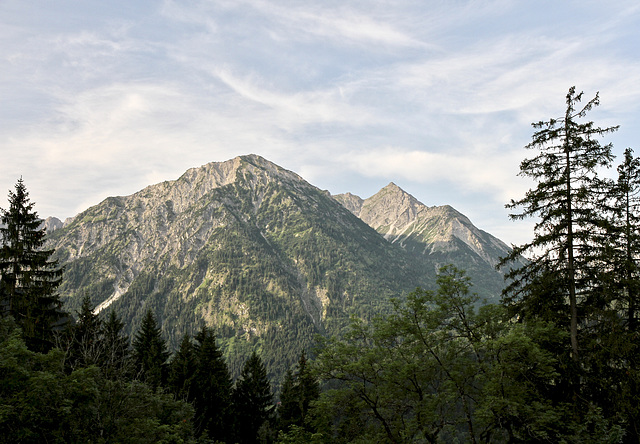 Ausblick vom Gebiet Neunerköpfle, Tannheimertal