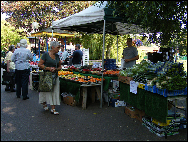 Salisbury summer market