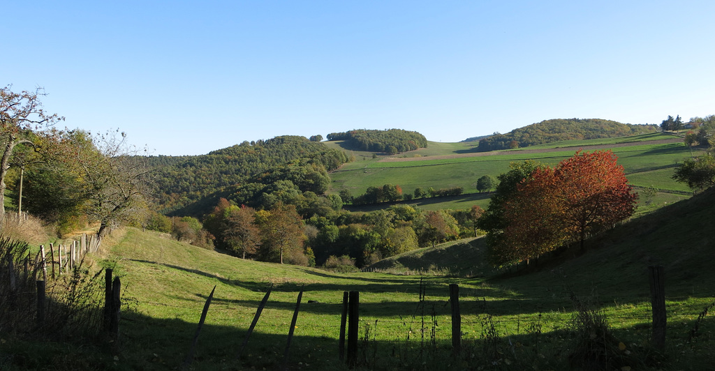 Vers Duerne, Monts du Lyonnais (Rhône)