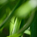 DSCF3757