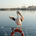 Namibia, Walvis Bay, Pelican Had Flown in for a Photo Shoot