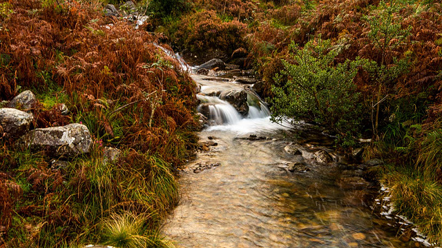Snowdonia, a stream on its way to Llyn Dinas